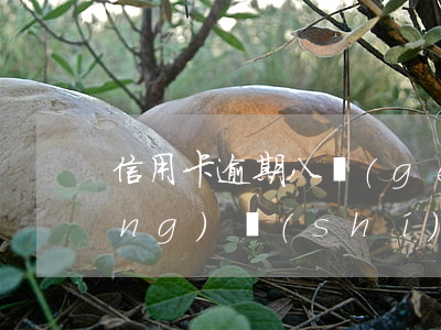 信用卡逾期八個(gè)月后果(長(zhǎng)時(shí)間信用卡逾期)