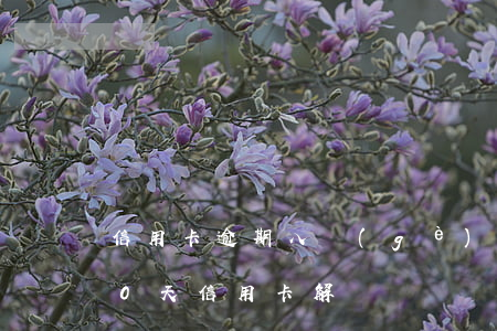 信用卡逾期八個(gè)月怎么解凍(逾期90天信用卡解凍)