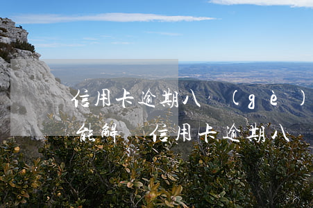 信用卡逾期八個(gè)月解凍需要多久才能解凍（信用卡逾期八個(gè)月解凍需要多久）