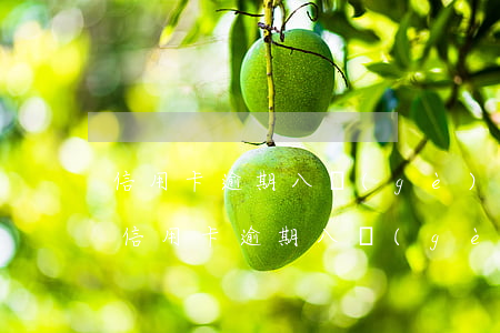信用卡逾期八個(gè)月還可以解凍嗎-信用卡逾期八個(gè)月還可以解凍嗎