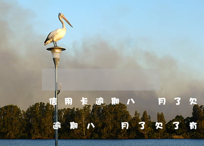 信用卡逾期八個月了欠了有三萬多-信用卡逾期八個月了欠了有三萬多怎么辦