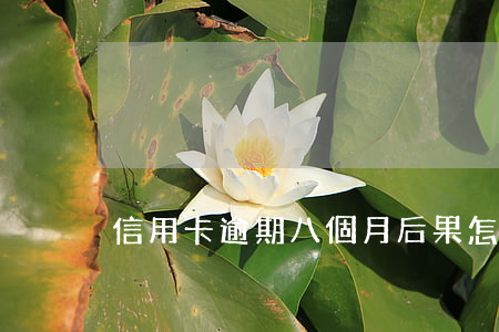 信用卡逾期八個月后果怎么樣