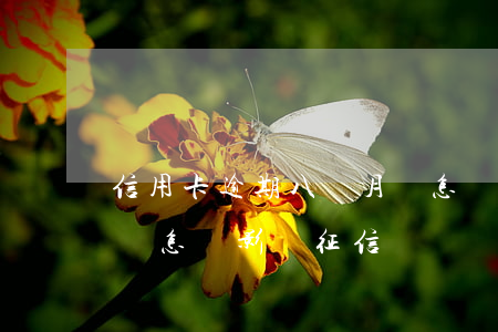 信用卡逾期八個月會怎樣(信用卡逾期八個月會怎樣影響征信)