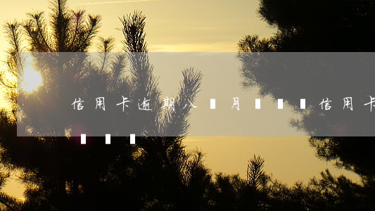 信用卡逾期八個月沒還錢(信用卡逾期八個月沒還錢)
