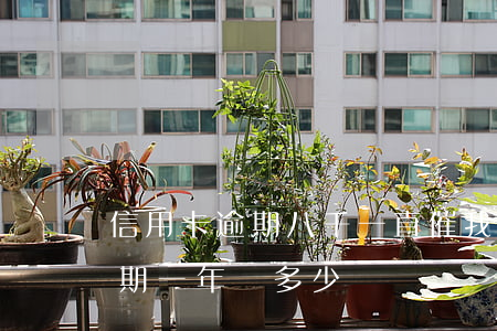 信用卡逾期八千一直催我還款(信用卡8千逾期一年還多少)
