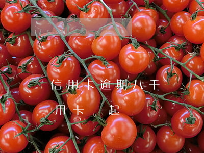 信用卡逾期八千塊錢會起訴嗎(欠八千塊錢信用卡會起訴嗎)