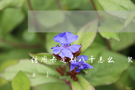 信用卡逾期八千怎么辦 欠信用卡八萬(wàn)
