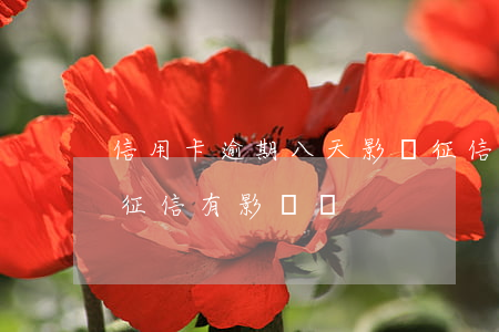 信用卡逾期八天影響征信嗎(車款逾期8天對征信有影響嗎)