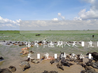 信用卡逾期八天額度會降低么(信用卡逾期八天額度會降低么嗎)