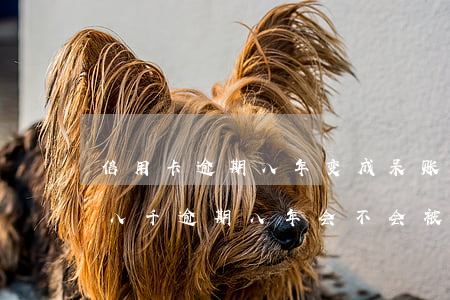 信用卡逾期八年变成呆账会判刑吗(欠信用卡八千逾期八年会不会被起诉)