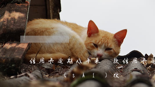信用卡逾期八年未還款(信用卡逾期8年還有訴訟時(shí)效)