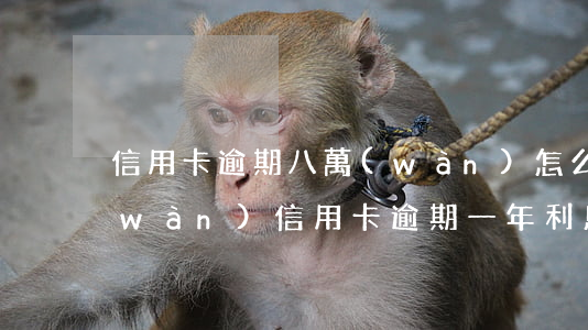 信用卡逾期八萬(wàn)怎么辦-8萬(wàn)信用卡逾期一年利息