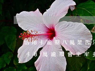 信用卡逾期八萬是否只有坐牢一條路-信用卡8萬逾期會坐牢多久