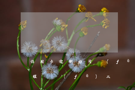 信用卡逾期公司發(fā)薪資在卡上(公司推遲發(fā)工資導(dǎo)致信用卡逾期)