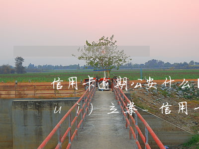 信用卡逾期公安什么時(shí)候會(huì)立案-信用卡逾期公安什么時(shí)候會(huì)立案處理