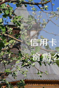 信用卡逾期公安報案通知函送家里-信用卡逾期公安報案通知函送家里怎么寫