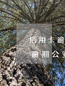 信用卡逾期公安如何處理最好辦法-信用卡逾期公安如何處理最好辦法視頻