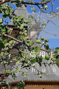 信用卡逾期公安局打電話(huà)說(shuō)立案-信用卡逾期公安局打電話(huà)說(shuō)立案是真的嗎