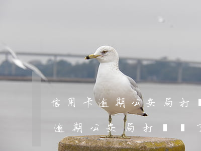 信用卡逾期公安局打電話了解情況-信用卡逾期公安局打電話了解情況有用嗎