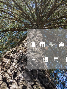 信用卡逾期公安局會(huì)上門催收嗎-信用卡逾期公安局會(huì)上門催收嗎知乎