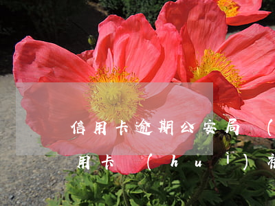 信用卡逾期公安局會(huì)上門嗎(欠信用卡會(huì)被上門嗎)