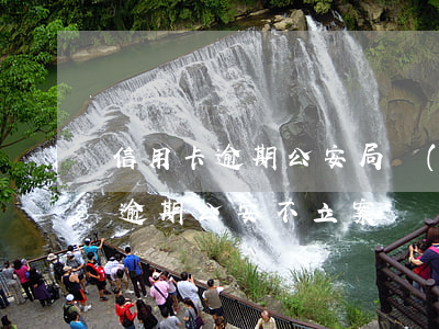 信用卡逾期公安局會(huì)館嗎(信用卡逾期,公安不立案)