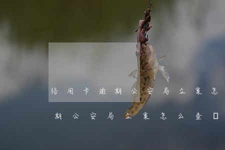 信用卡逾期公安局立案怎么查詢-信用卡逾期公安局立案怎么查詢進(jìn)度