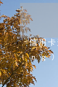 信用卡逾期公安局通緝令(欠信用卡網(wǎng)上通緝名單)