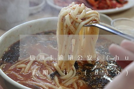 信用卡逾期公安會(huì)受理嗎(信用卡逾期銀行報(bào)警公安局會(huì)立案嗎)
