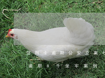 信用卡逾期公安立案七萬(wàn)(信用卡逾期8千坐牢案例)