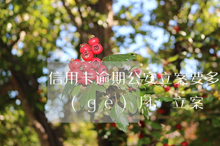 信用卡逾期公安立案要多久(欠信用卡逾期幾個(gè)月會立案)