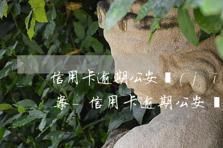 信用卡逾期公安經(jīng)偵大隊已立案-信用卡逾期公安經(jīng)偵大隊已立案怎么辦