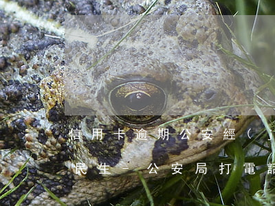 信用卡逾期公安經(jīng)偵短信通知民生-公安局打電話說(shuō)信用卡逾期立案