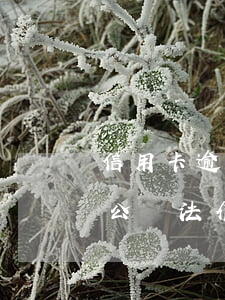 信用卡逾期公檢法介入什么意思 信用卡逾期公檢法介入什么意思