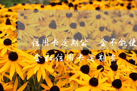 信用卡逾期公積金不能使用了嗎(交住房公積金和信用卡逾期有關(guān)系嗎?)