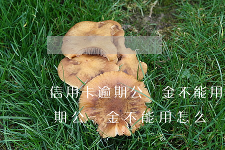 信用卡逾期公積金不能用怎么辦-信用卡逾期公積金不能用怎么辦呢