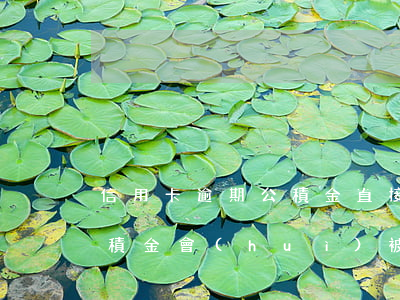 信用卡逾期公積金直接被扣了嗎 欠信用卡公積金會(huì)被凍結(jié)嗎