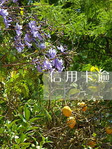 信用卡逾期公積金貸滿(公積金逾期貸款)