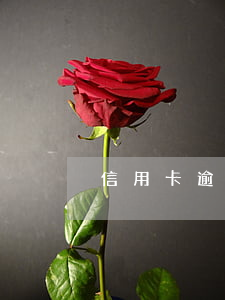 信用卡逾期公訴(信用卡逾期公訴)