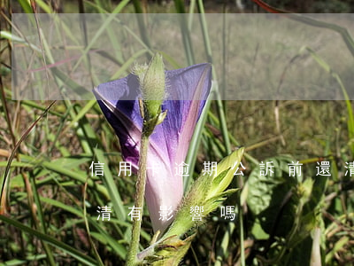 信用卡逾期公訴前還清(信用卡逾期公訴前還清有影響嗎)