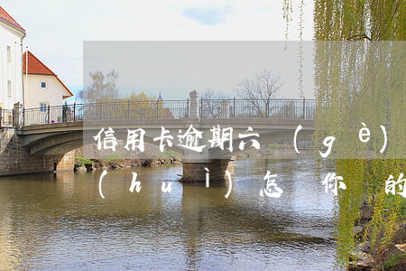 信用卡逾期六個(gè)小時(shí)會(huì)怎樣(你們的信用卡逾期多久了)