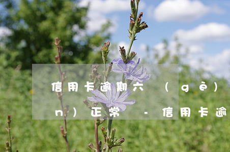 信用卡逾期六個(gè)月利息一萬(wàn)正常嗎-信用卡逾期六個(gè)月利息一萬(wàn)正常嗎怎么算