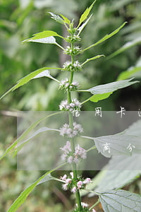 信用卡逾期六個(gè)月可以協(xié)商分期嗎(信用卡逾期三個(gè)月可以協(xié)商分期嗎)