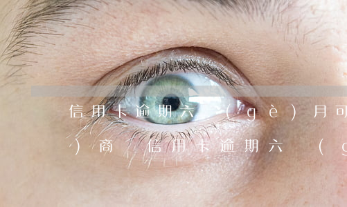信用卡逾期六個(gè)月可以協(xié)商嗎(信用卡逾期六個(gè)月可以協(xié)商嗎電話)