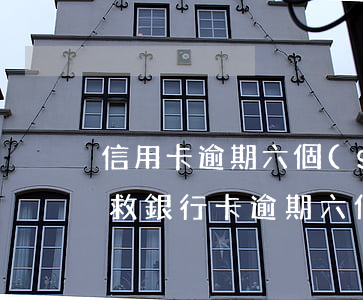 信用卡逾期六個(gè)月怎樣補(bǔ)救(銀行卡逾期六個(gè)月怎么處理)