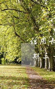 信用卡逾期六個(gè)月被起訴(信用卡逾期三年六個(gè)月被起訴了怎么辦)