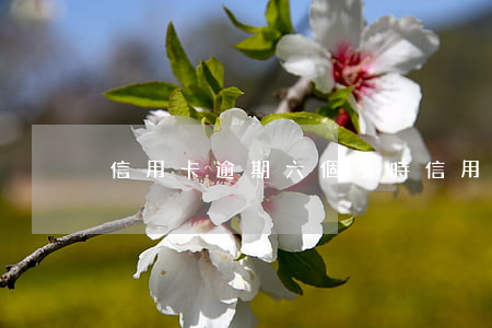 信用卡逾期六個小時 信用卡6萬逾期半年