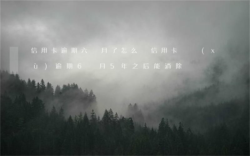 信用卡逾期六個月了怎么辦(信用卡連續(xù)逾期6個月5年之后能消除嗎)