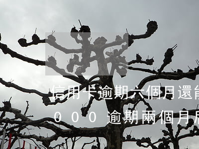 信用卡逾期六個月還能坐飛機嗎-信用卡8000逾期兩個月后還,不能坐飛機?