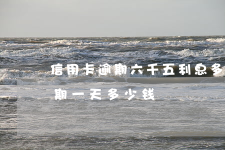 信用卡逾期六千五利息多少钱(信用卡6万逾期一天多少钱)